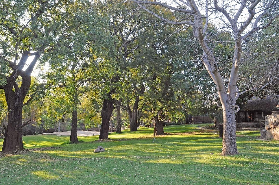 Moholoholo Ya Mati Kampersrus AH Exterior foto