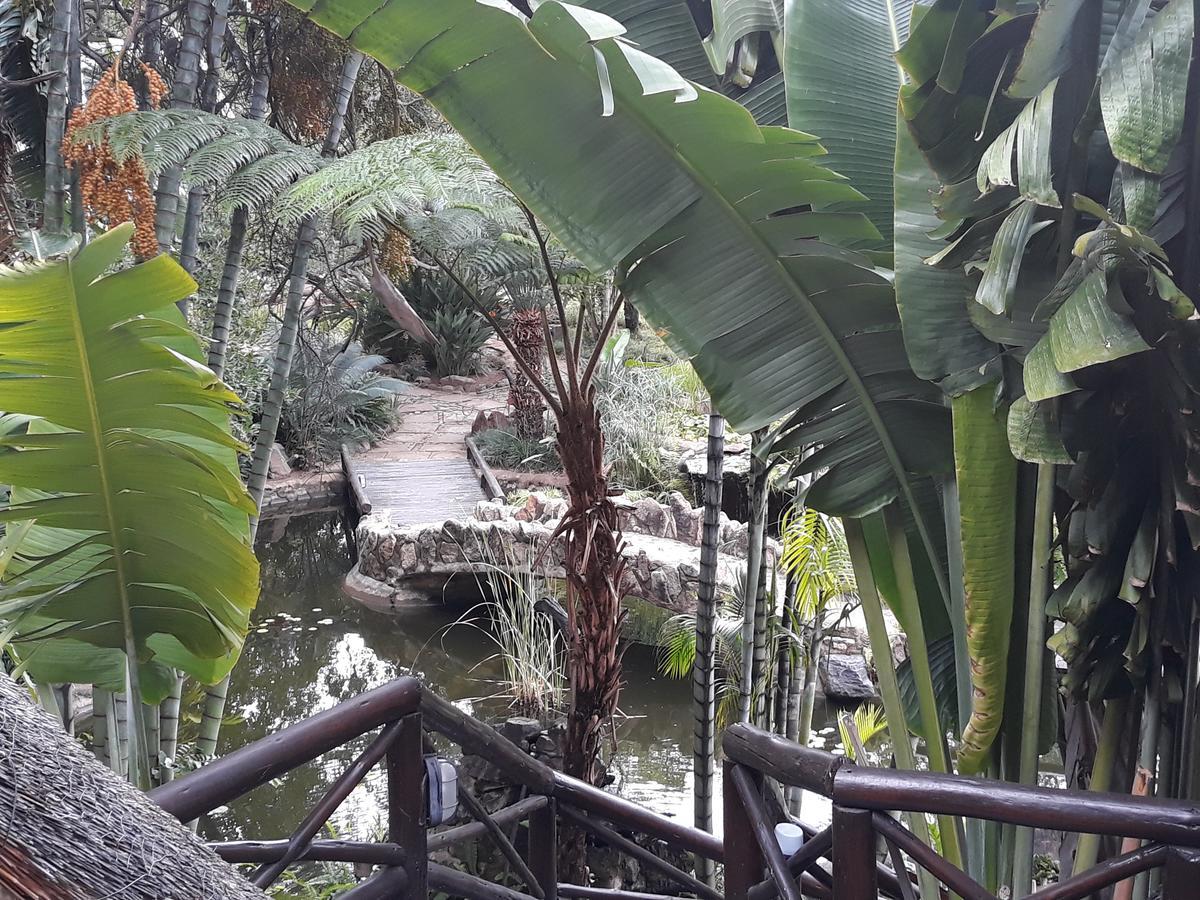 Moholoholo Ya Mati Kampersrus AH Exterior foto